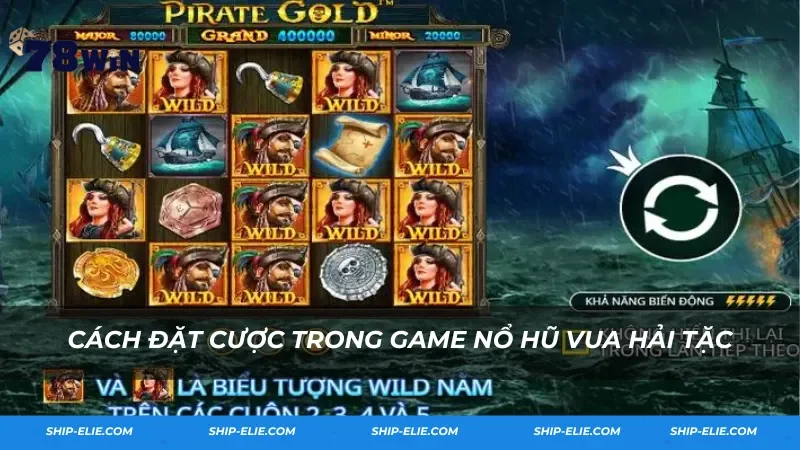Cách đặt cược trong game nổ hũ Vua Hải Tặc