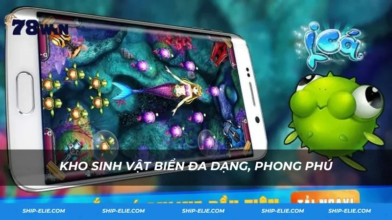 Kho sinh vật biển đa dạng, phong phú