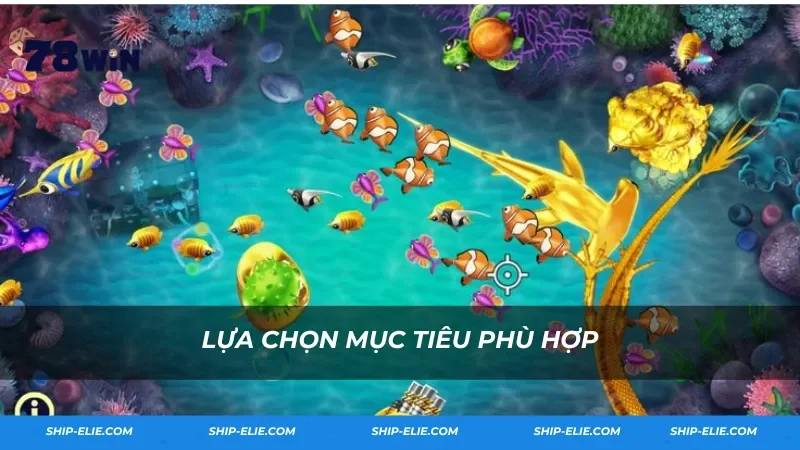 Lựa chọn mục tiêu phù hợp