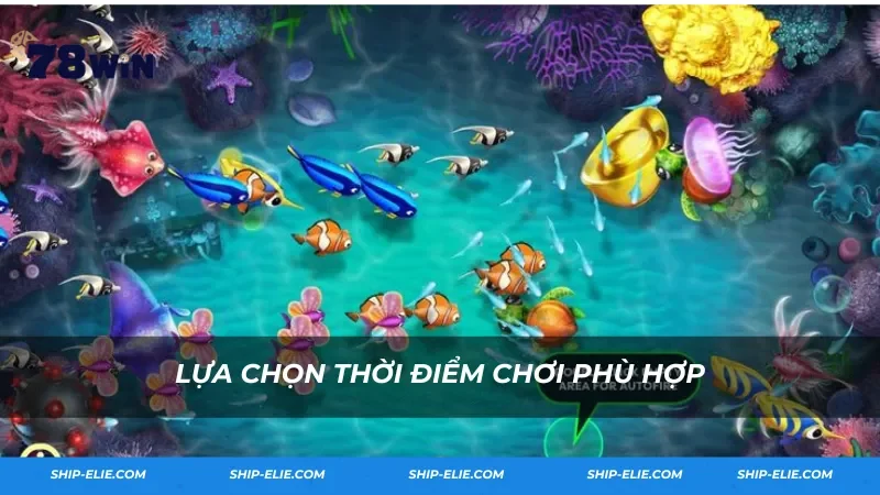 Lựa chọn thời điểm chơi phù hợp