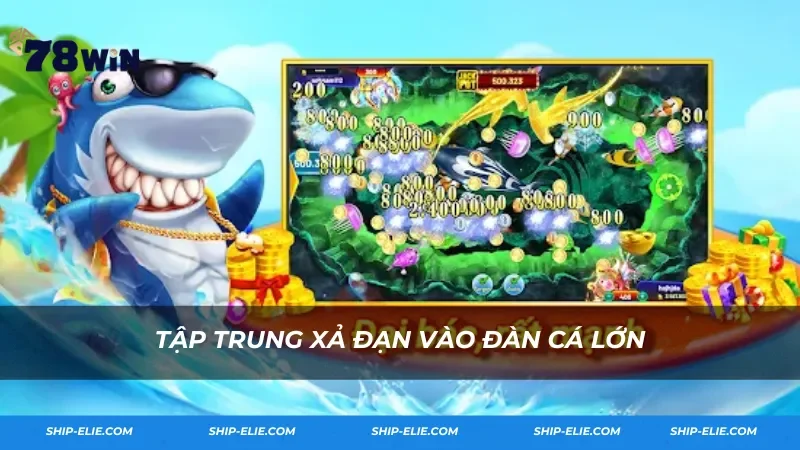 Tập trung xả đạn vào đàn cá lớn